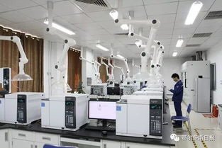 一季度鄂爾多斯經濟運行總體平穩向好，計算機系統集成產業展現活力